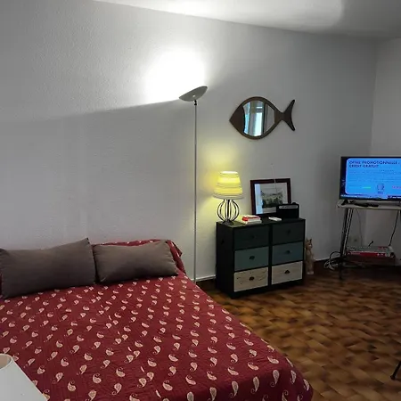 5canetp36 -t2 Avec Clim, Loggia Et Vue Marina, A Deux Pas De La *