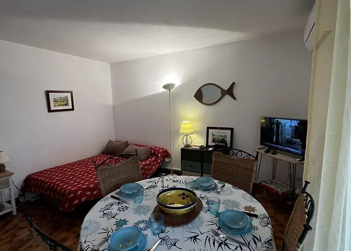 5canetp36 -t2 Avec Clim, Loggia Et Vue Marina, A Deux Pas De La Appartement *